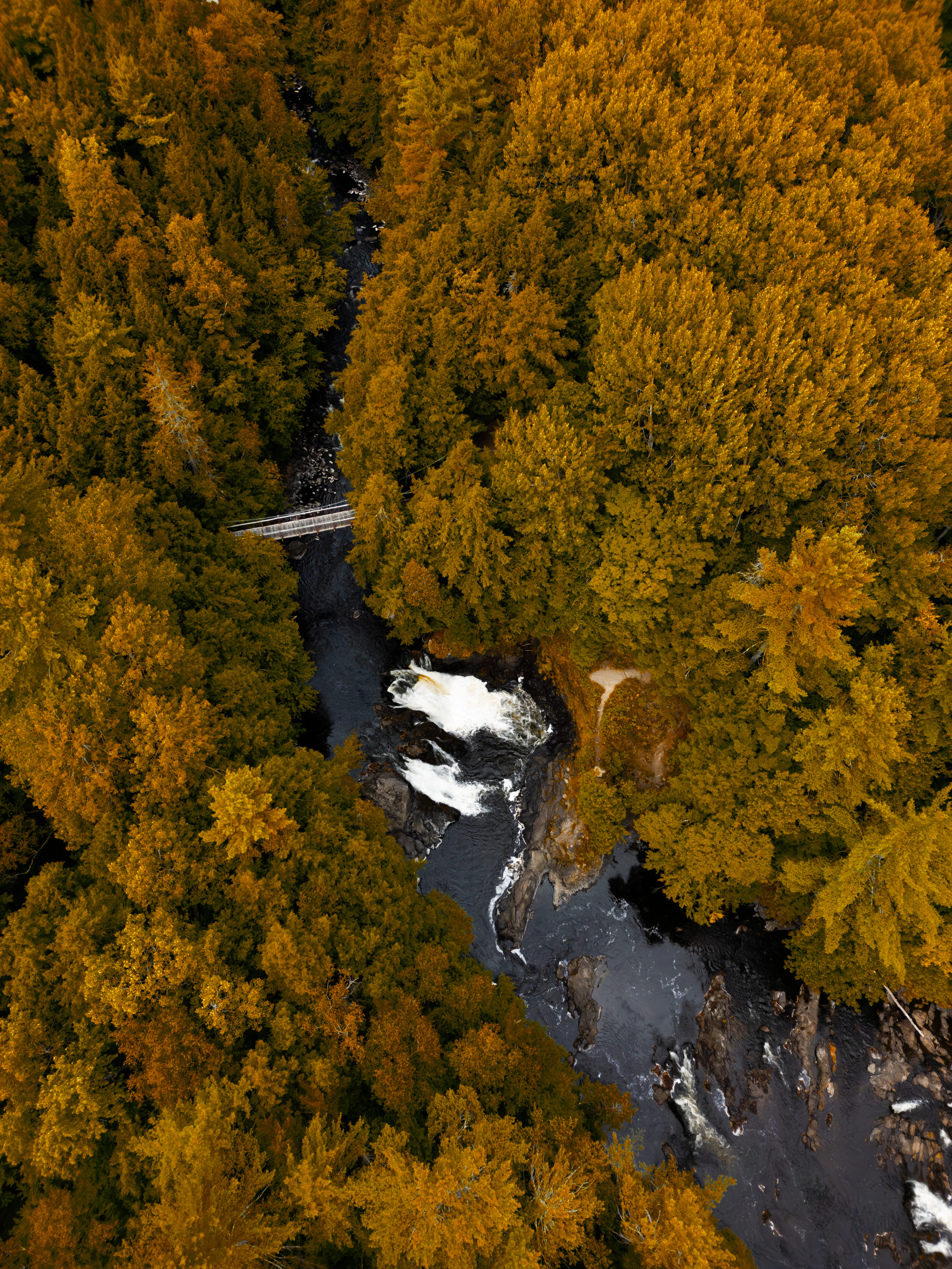 Photo rivière